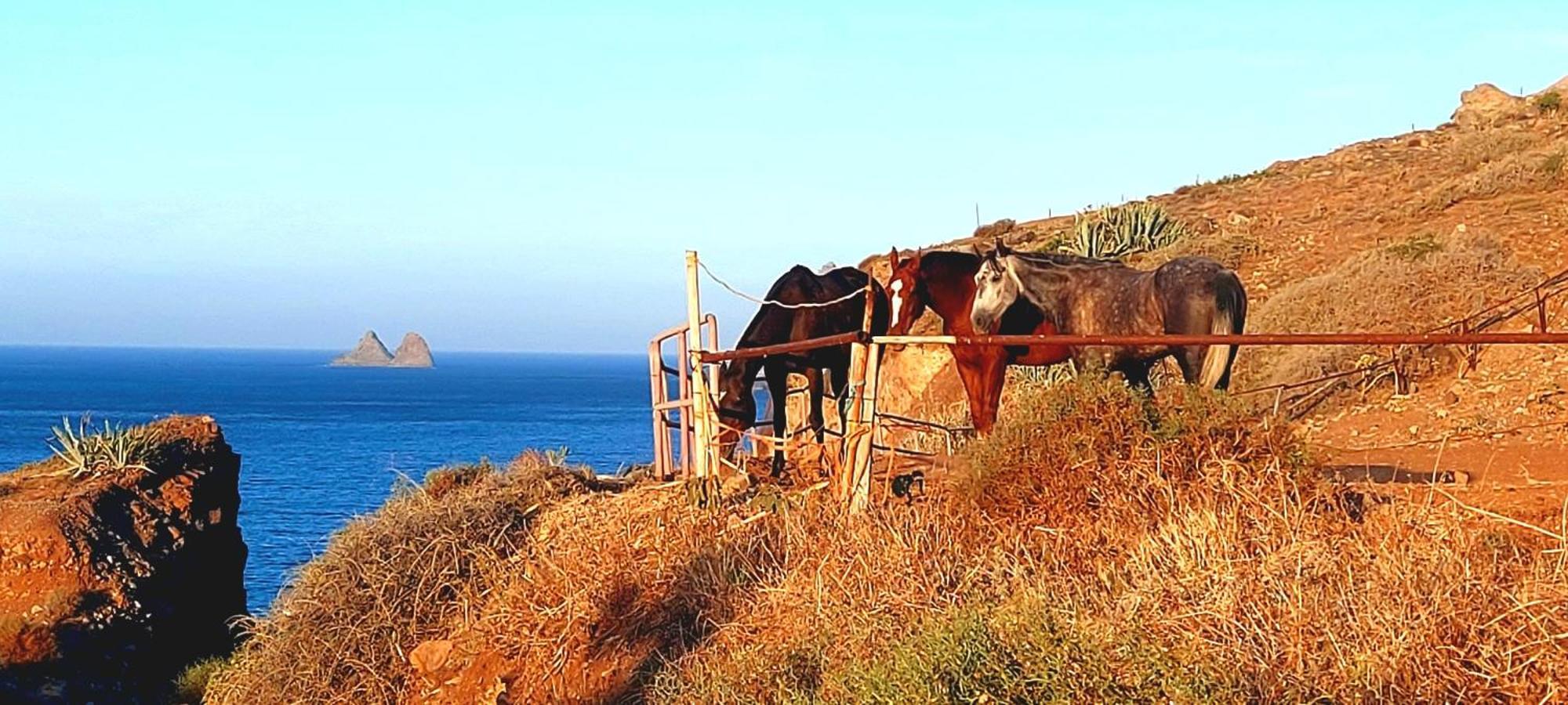 Casa Tucho Paraiso Sea Sound Santa Cruz de Tenerife Esterno foto